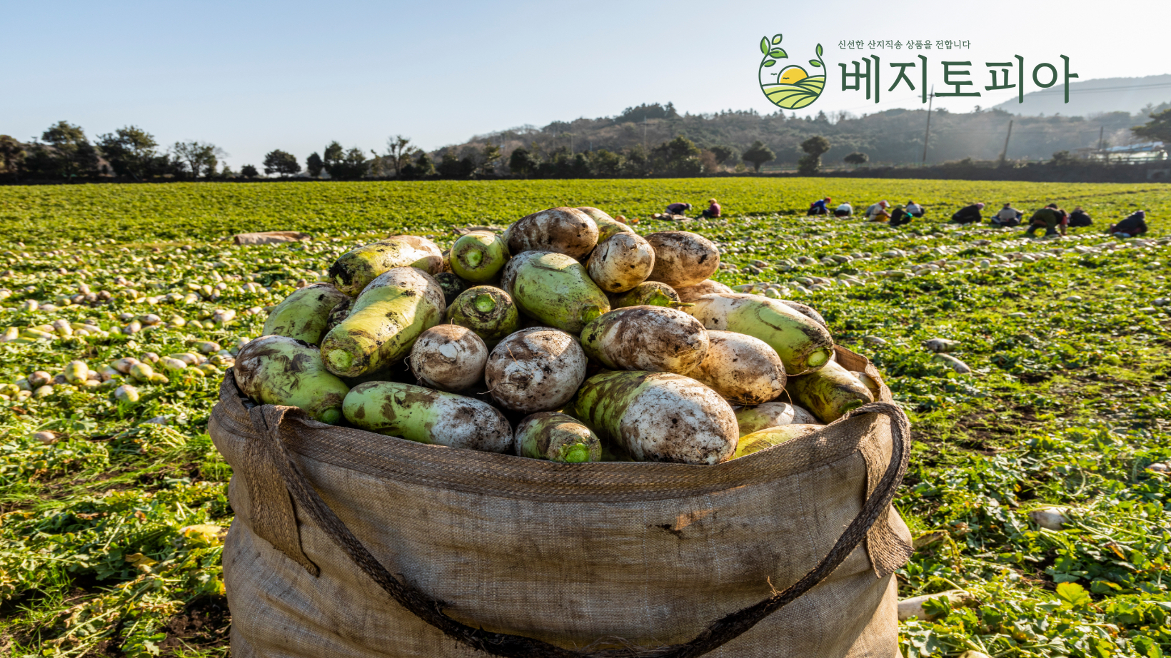 베지토피아